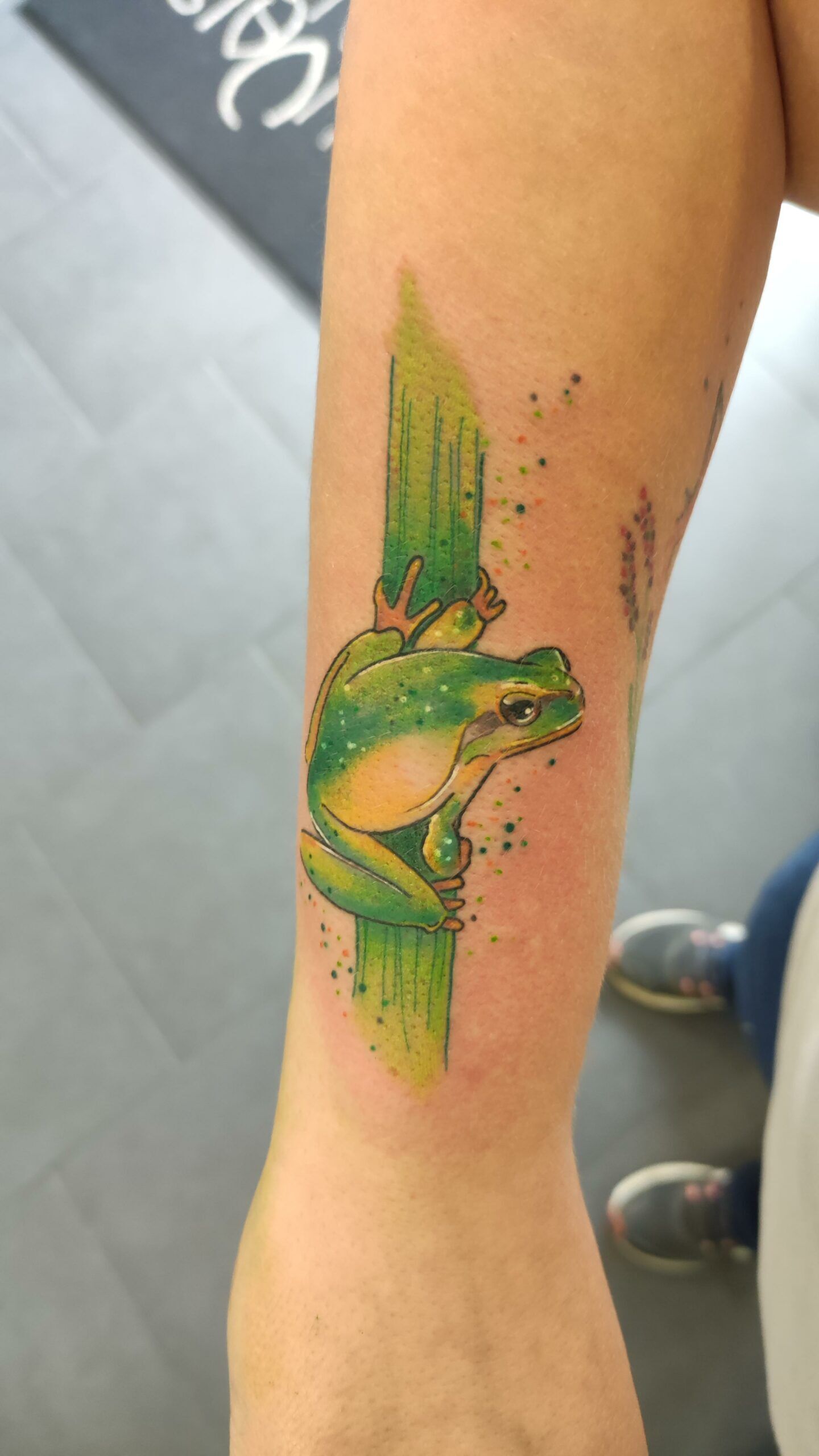 French frog tattoo from Saperlipopette Tattoo Occitanie France scaled