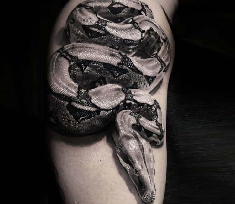 Snake Tattoos Gallery