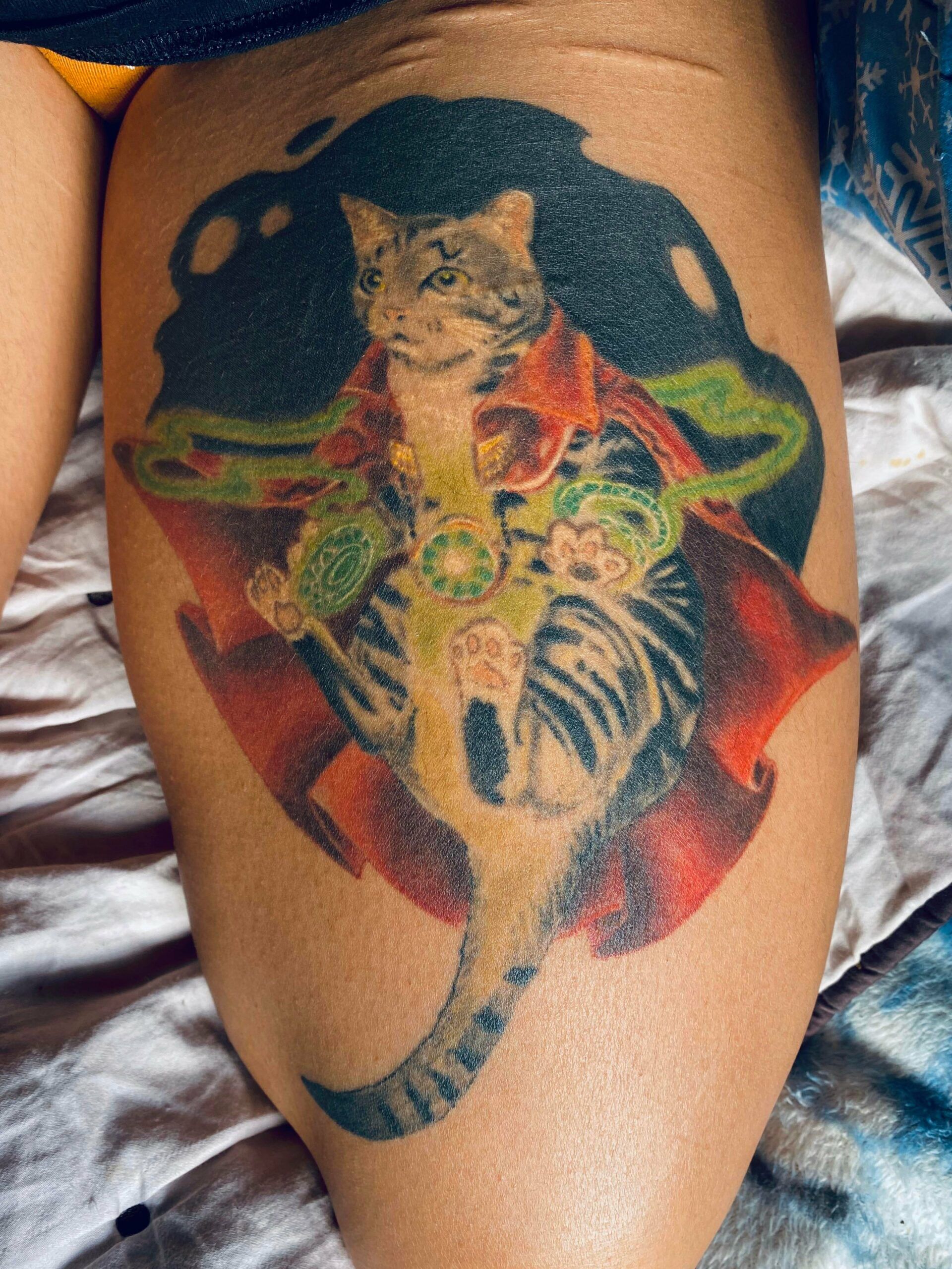 Doctor Strange Cat by Torsten Matthes Jacksonville Florida scaled