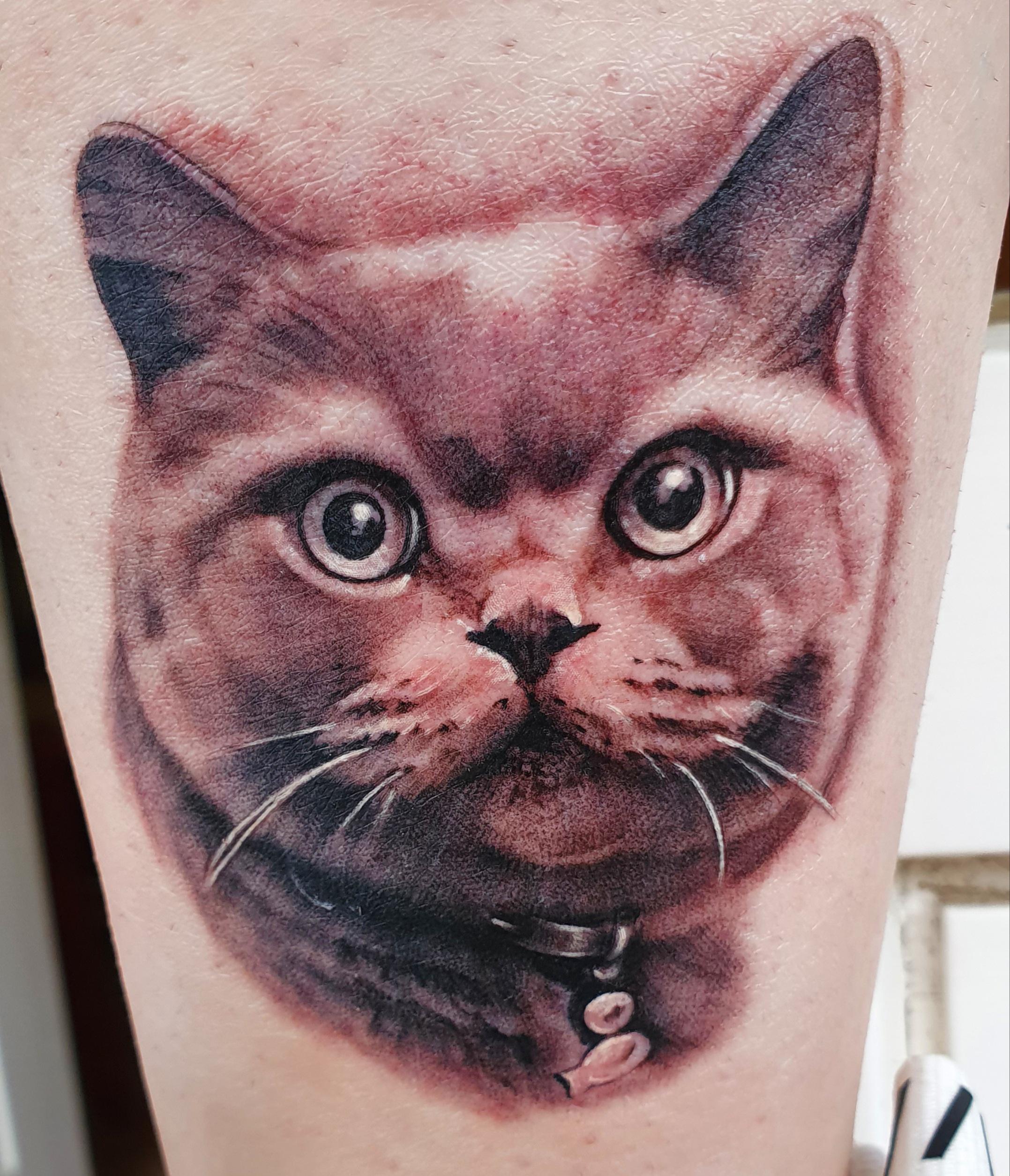 First big tattoo in remembrance of my cat I love